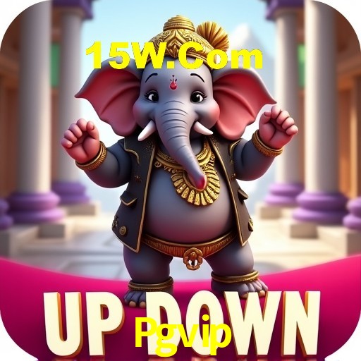 Experiência VIP Pgvip