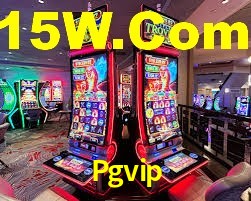 Pgvip App