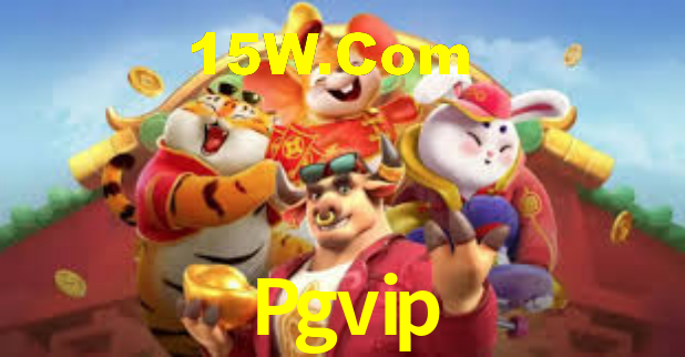 Interface do App Pgvip