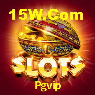 Interface Premium Pgvip