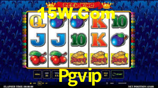 Pgvip
